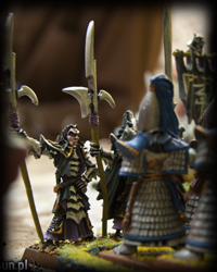Hall of Fame - Warhammer - FallenSUN Awards - 3 