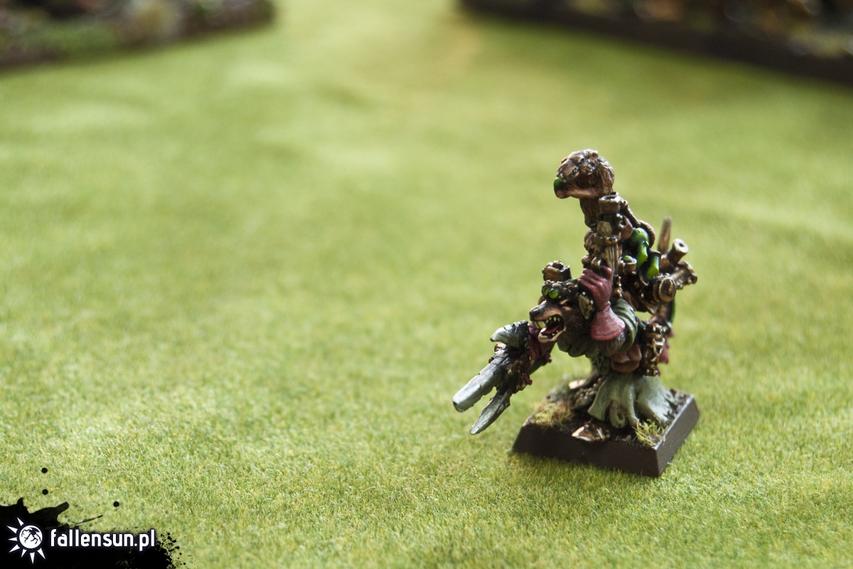 2017.11.25 BattleParty#5 - Fallensun - Warhammer - T9a