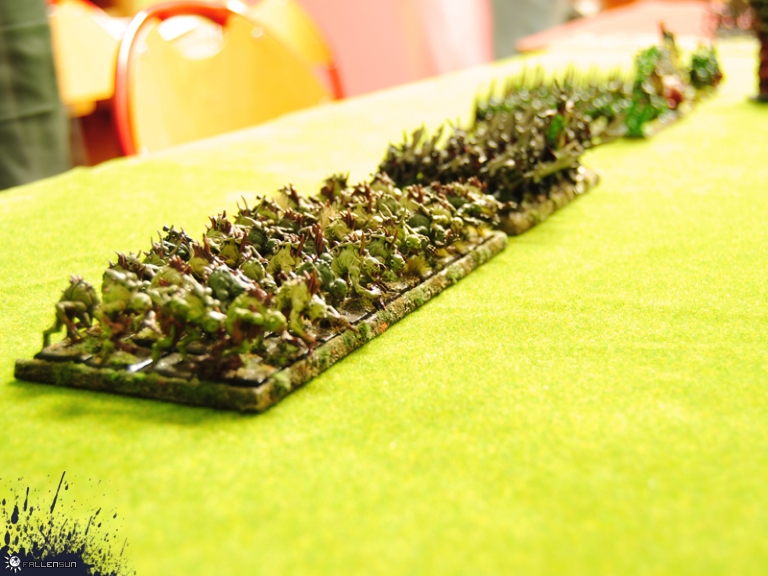 2015.02.08 Day of Thorash'15 - Fallensun - Warhammer - T9a